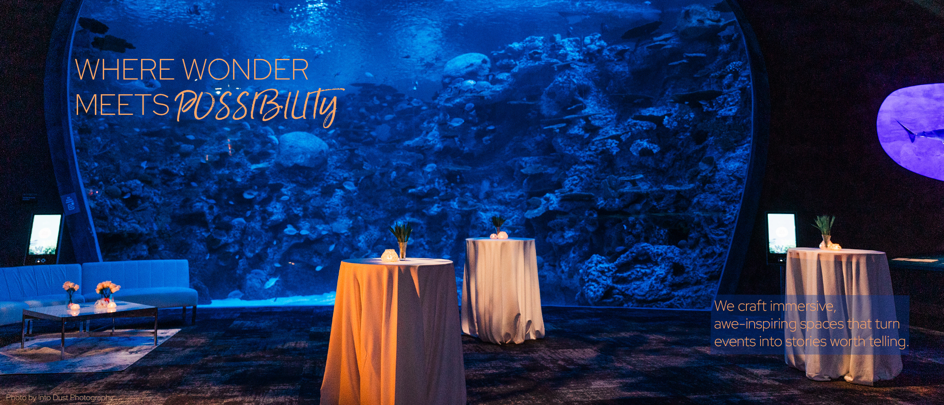 Seattle Aquarium Event